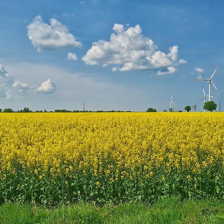 Agroturystyka Nowy Krakow Jezyce Екстериор снимка