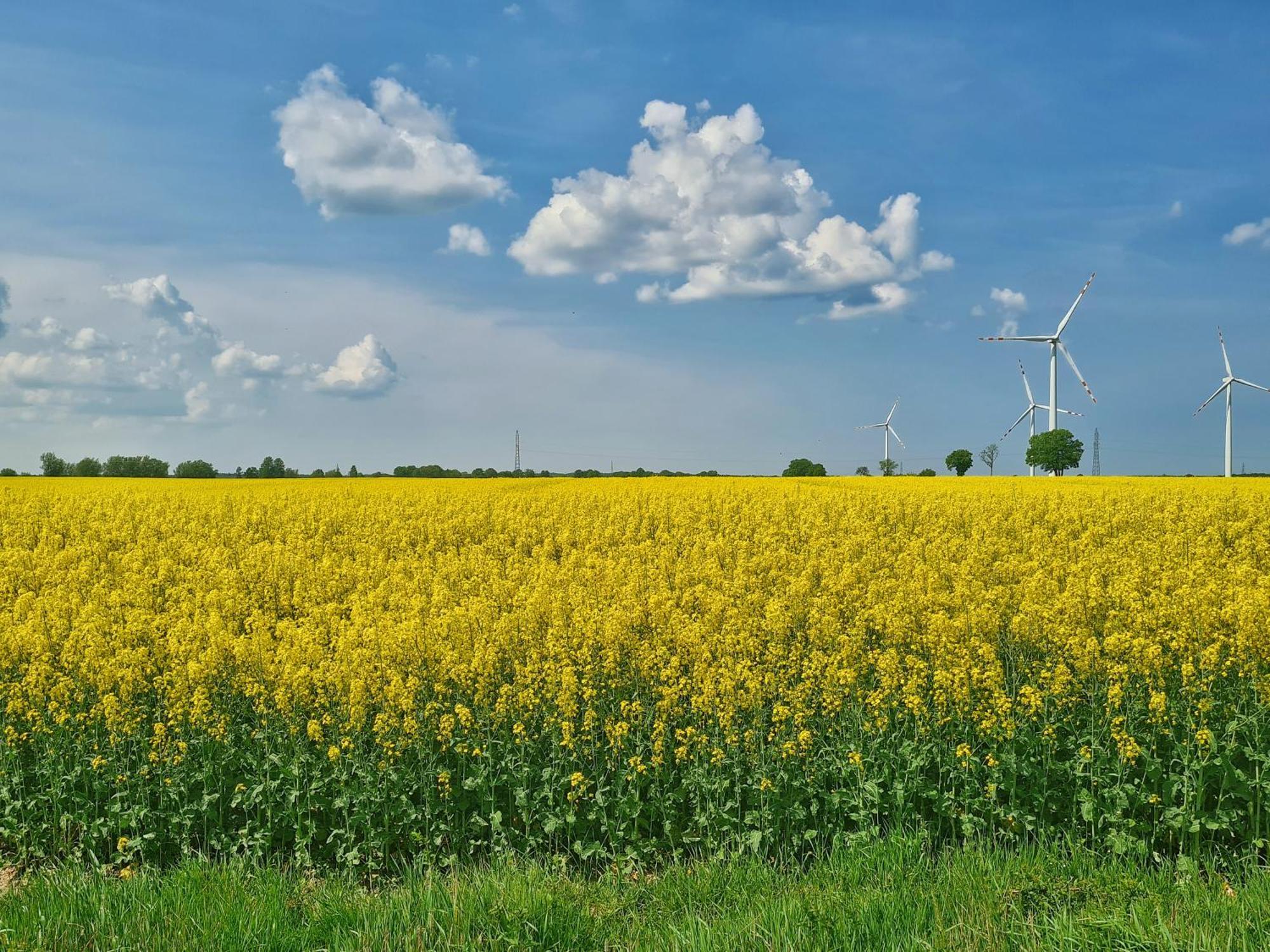 Agroturystyka Nowy Krakow Jezyce Екстериор снимка